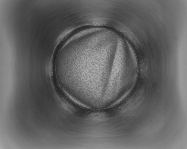 X0000111460536200908031342