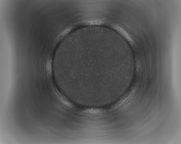 X0000111460537200908031342