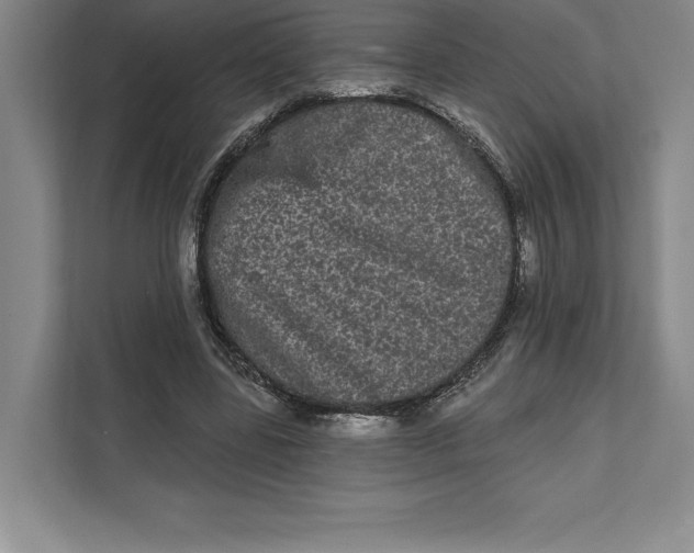 X0000111460539200908031342