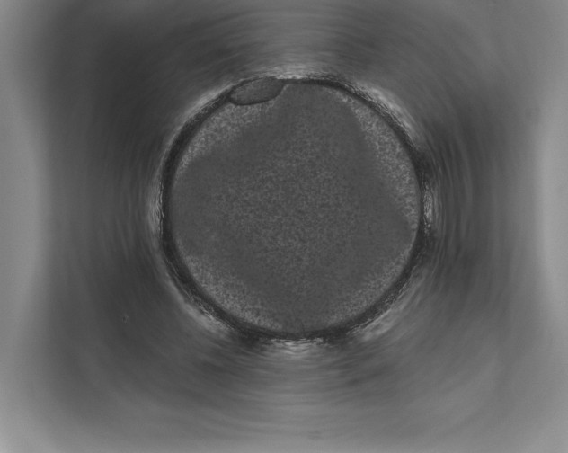 X0000111460540200908031342