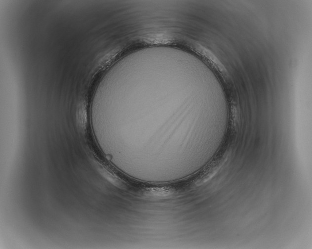 X0000111460541200908031342