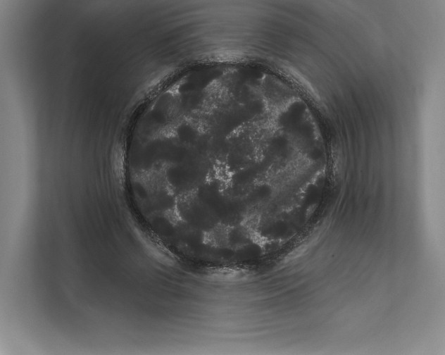X0000111460542200908031342