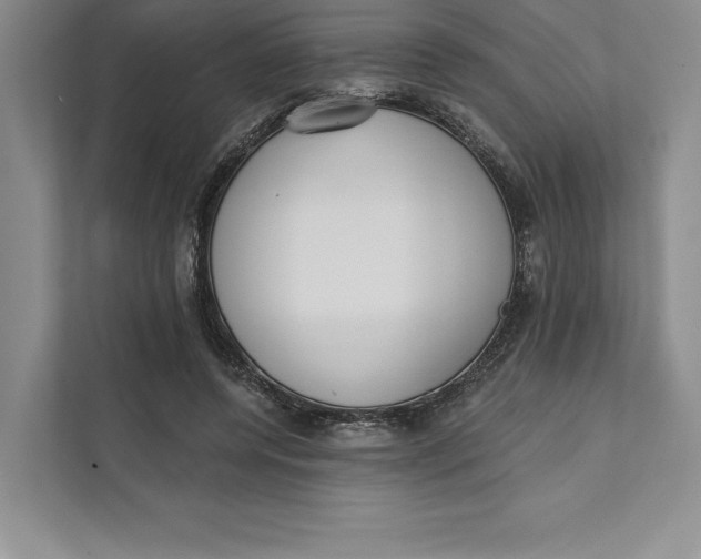 X0000111460544200908031342