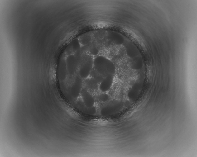 X0000111460545200908031342