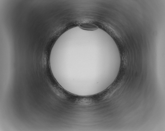 X0000111460546200908031342
