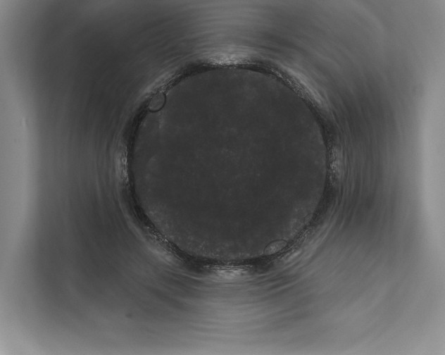 X0000111460547200908031342