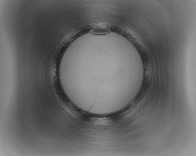 X0000111460548200908031342