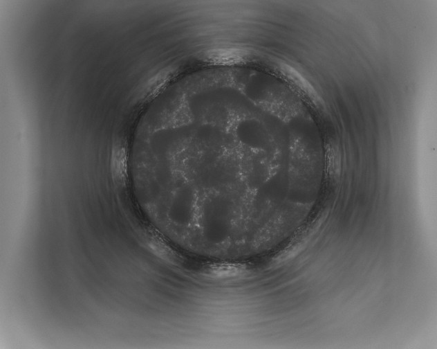 X0000111460549200908031342