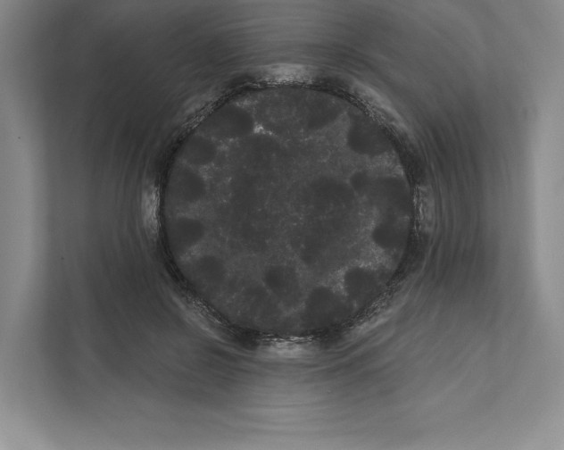 X0000111460550200908031342