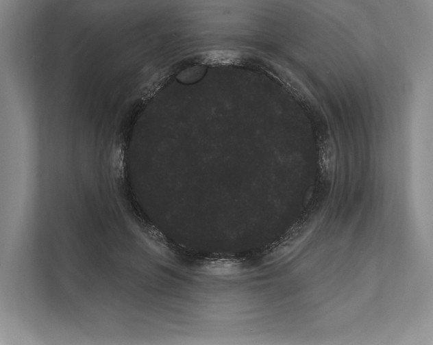 X0000111460551200908031342