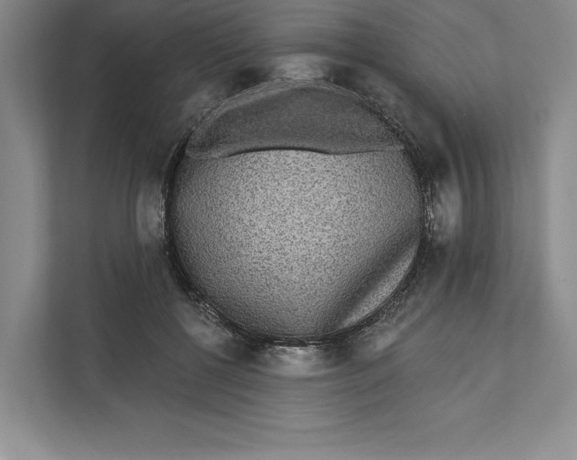 X0000111460552200908031342