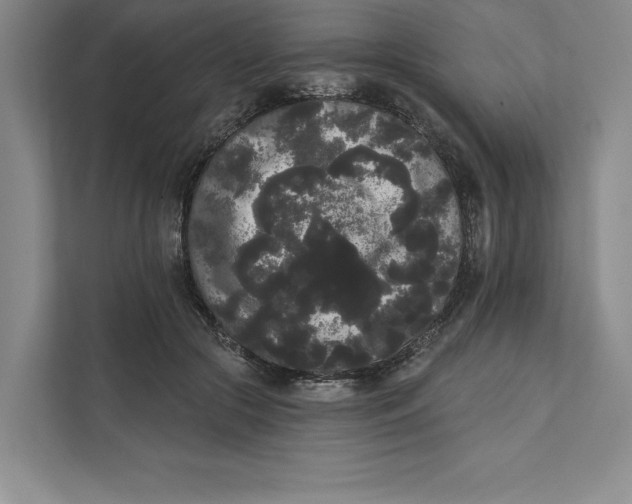 X0000111460553200908031342