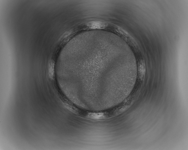 X0000111460554200908031342