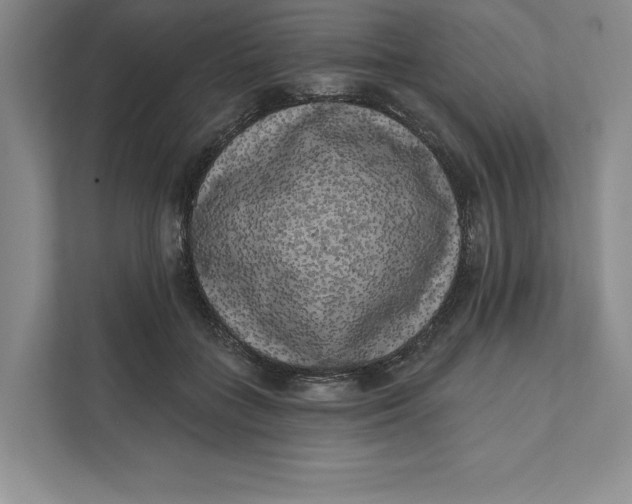 X0000111460555200908031342