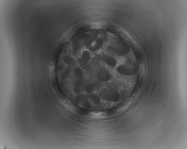 X0000111460557200908031342