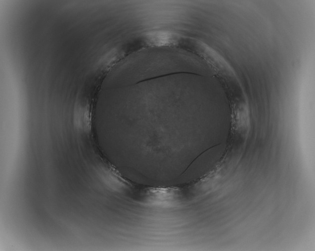 X0000111460558200908031342