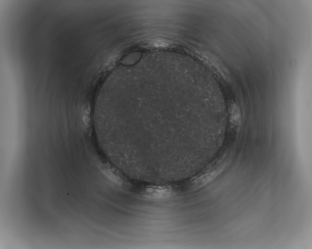X0000111460559200908031342