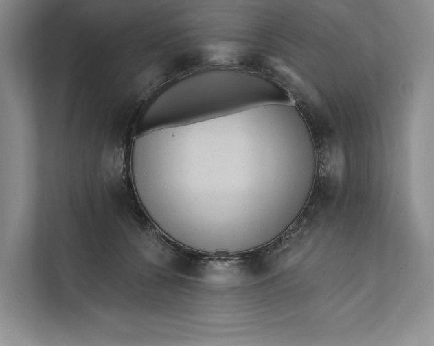 X0000111460560200908031342