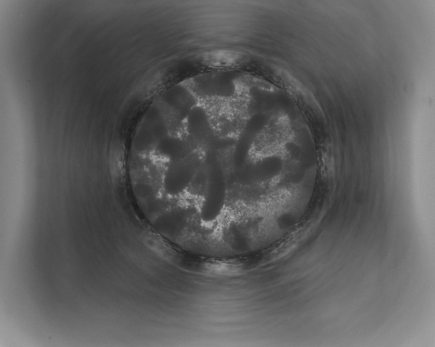 X0000111460561200908031342