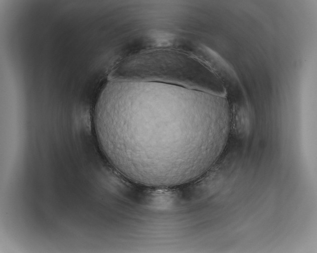 X0000111460562200908031342