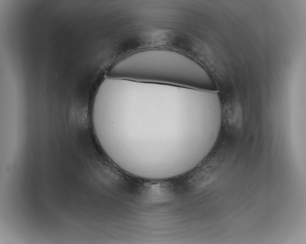 X0000111460564200908031342