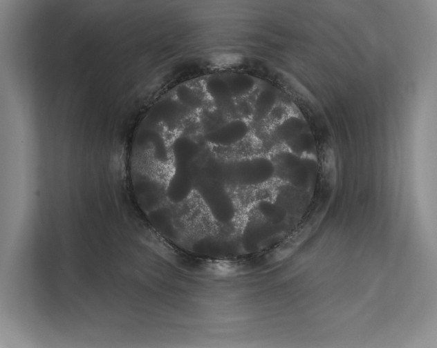 X0000111460565200908031342