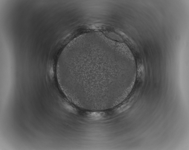 X0000111460566200908031342