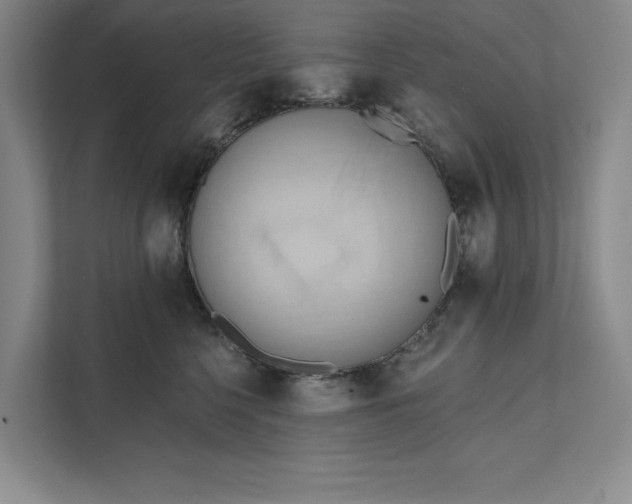 X0000111460568200908031342
