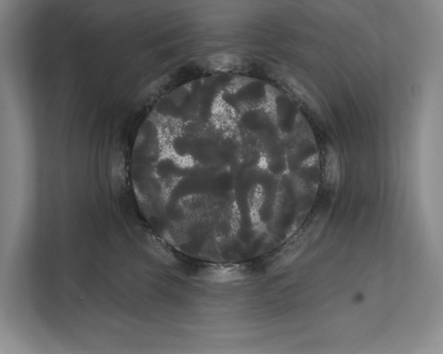 X0000111460569200908031342