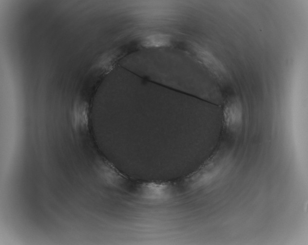 X0000111460570200908031342