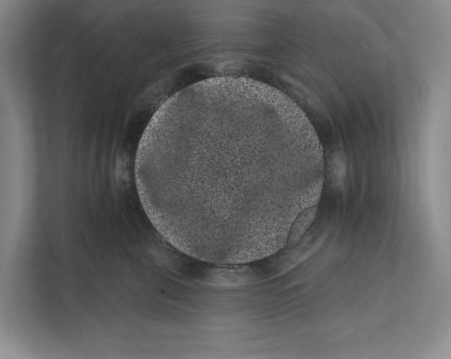 X0000111460571200908031342