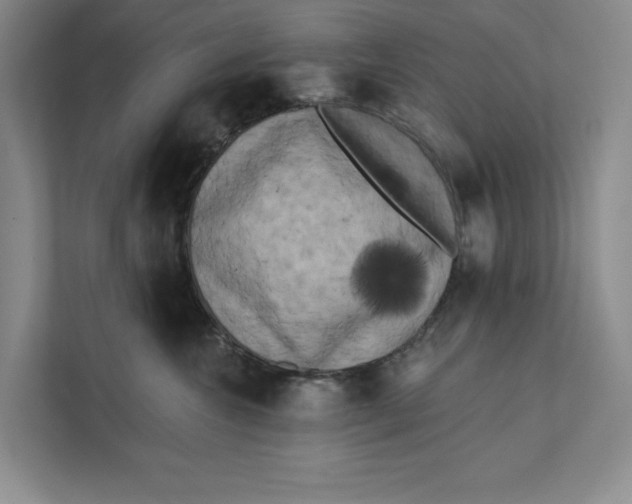 X0000111460572200908031342