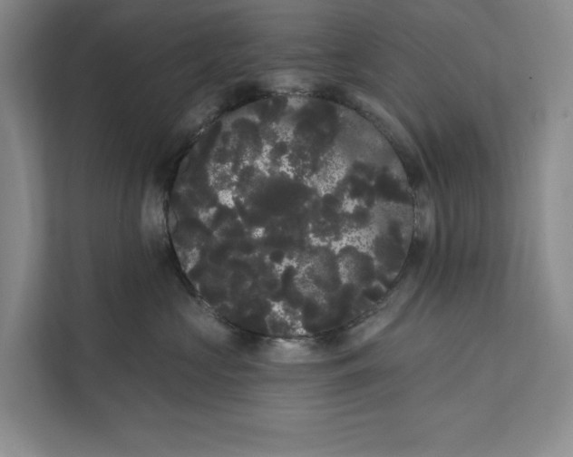 X0000111460573200908031342