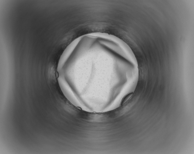 X0000111460575200908031342