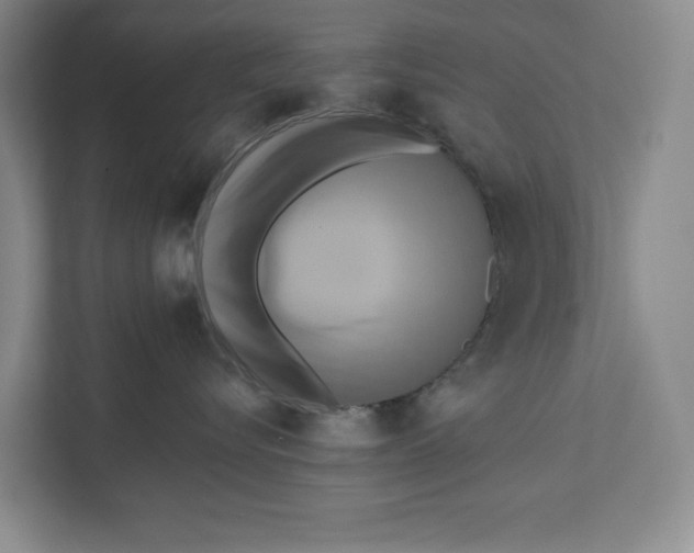 X0000111460576200908031342