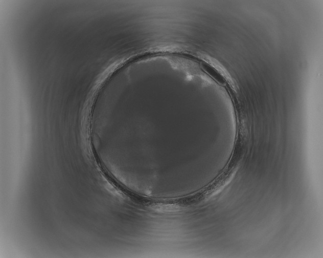 X0000111460577200908031341