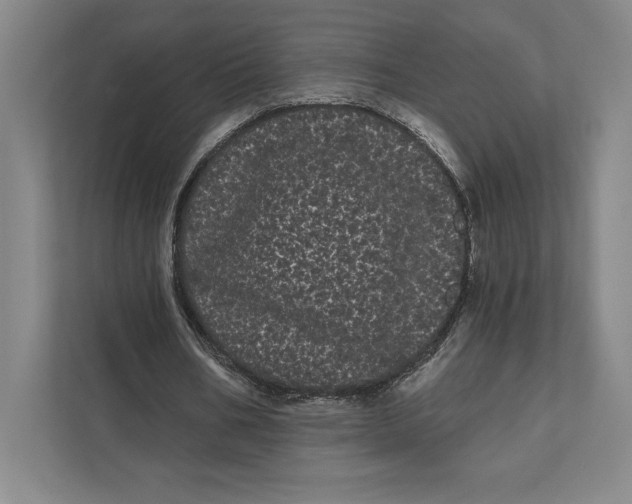 X0000111460578200908031341