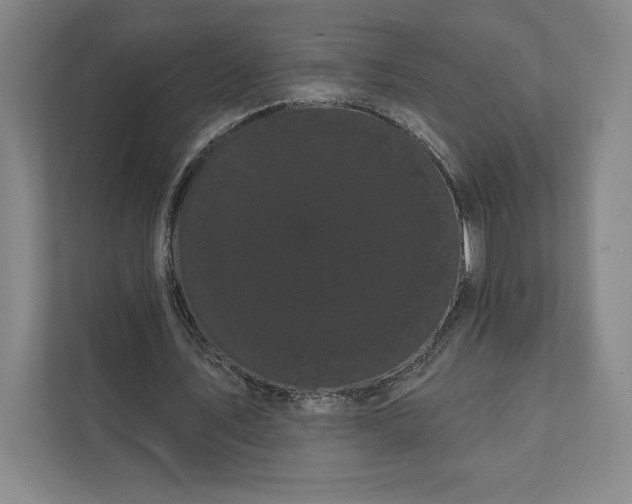 X0000111460579200908031341