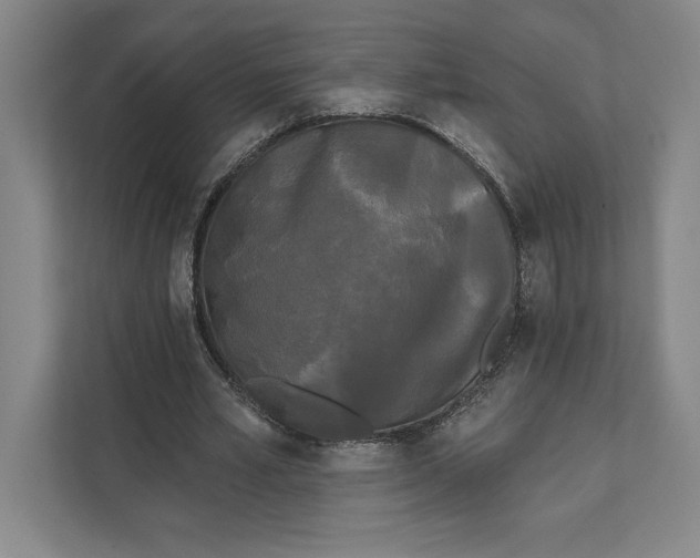 X0000111460581200908031341