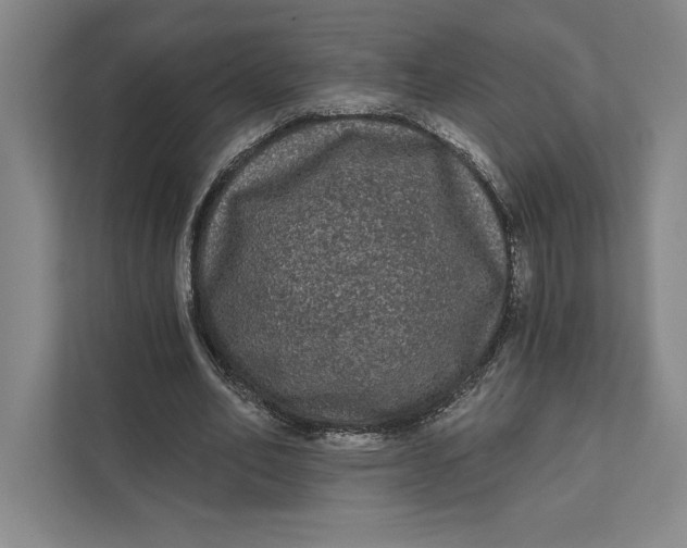 X0000111460582200908031341