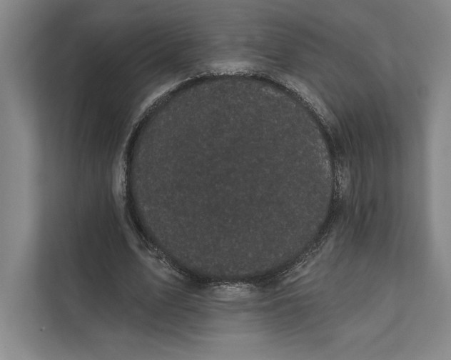 X0000111460583200908031341