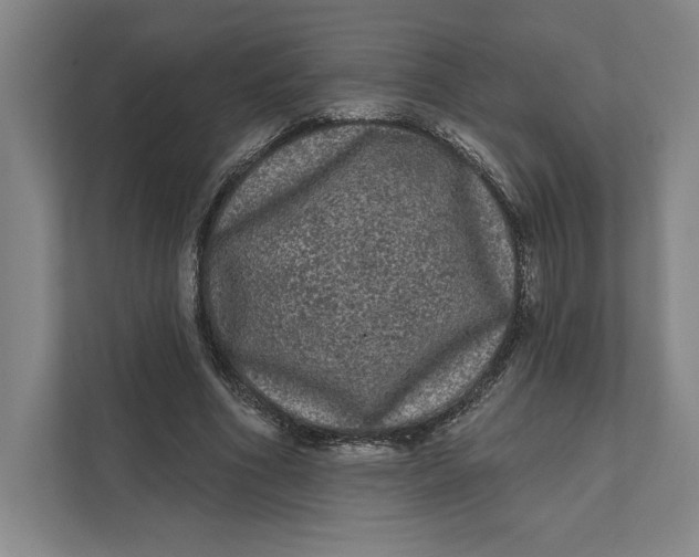 X0000111460586200908031341