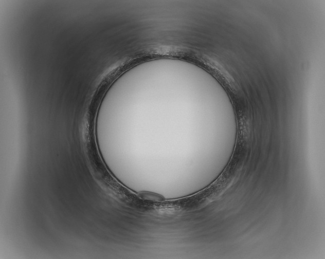 X0000111460587200908031341