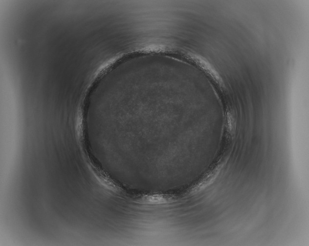 X0000111460588200908031341