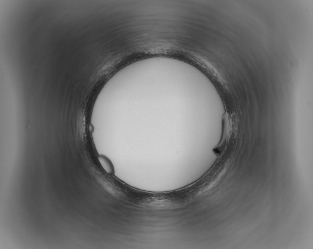 X0000111460589200908031341