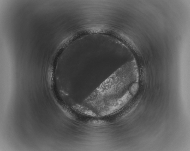 X0000111460590200908031341