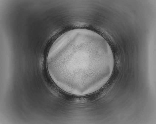 X0000111460591200908031341