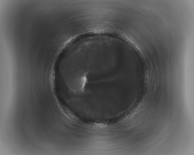 X0000111460592200908031341
