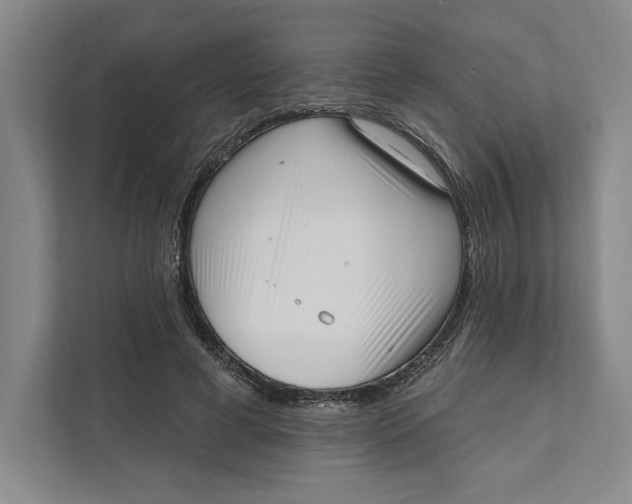 X0000111460593200908031341