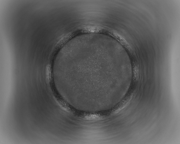 X0000111460594200908031341